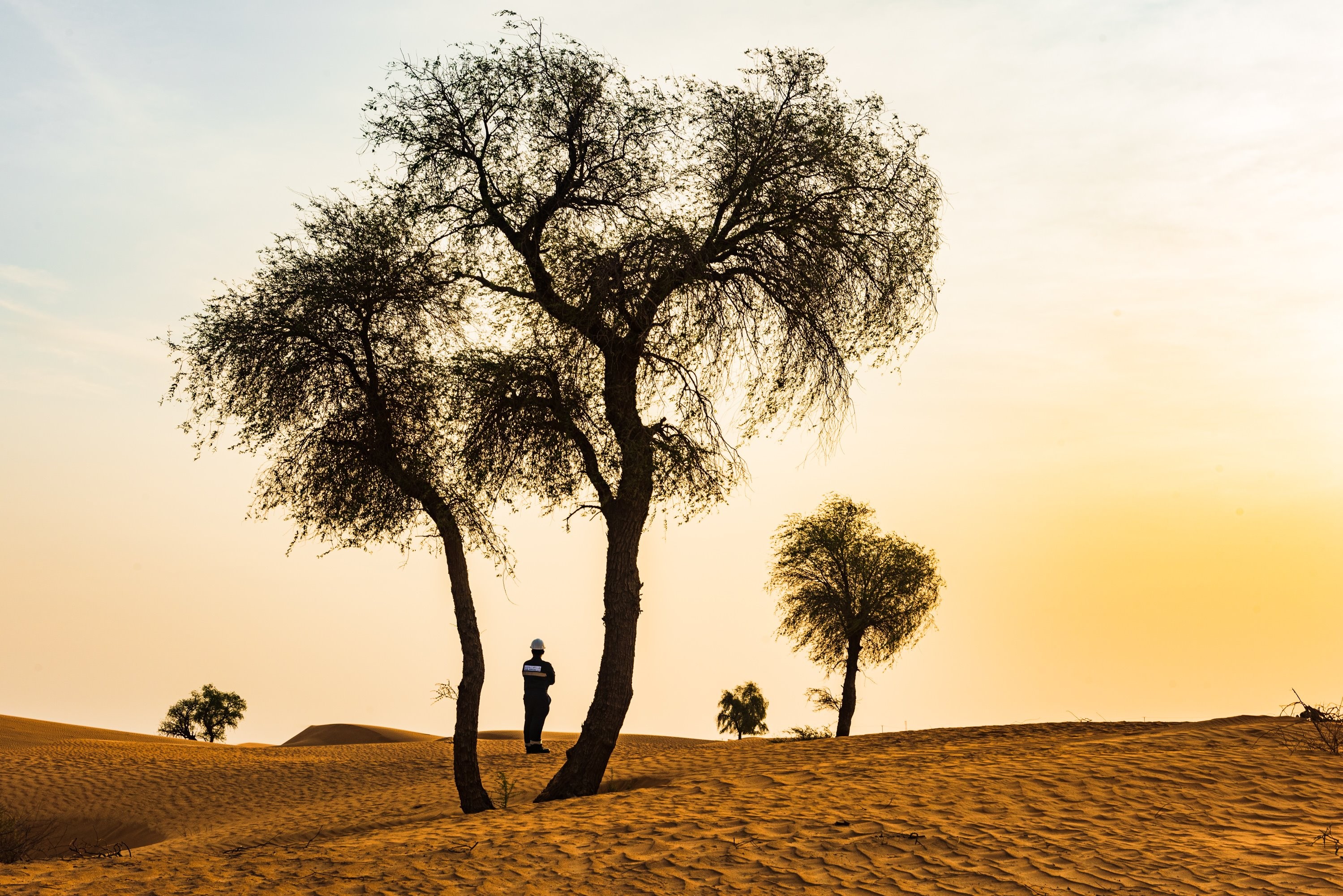 Marking Omani Environment Day: Beautiful Nature